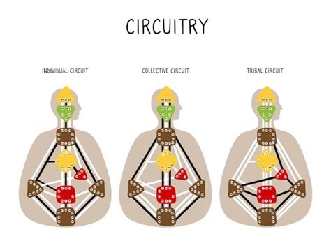 channels in human design.